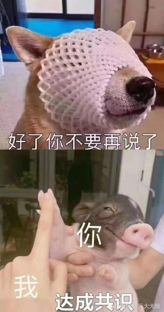 搞笑表情包已上线,屁屁女孩必备,够沙雕,配做我网友!
