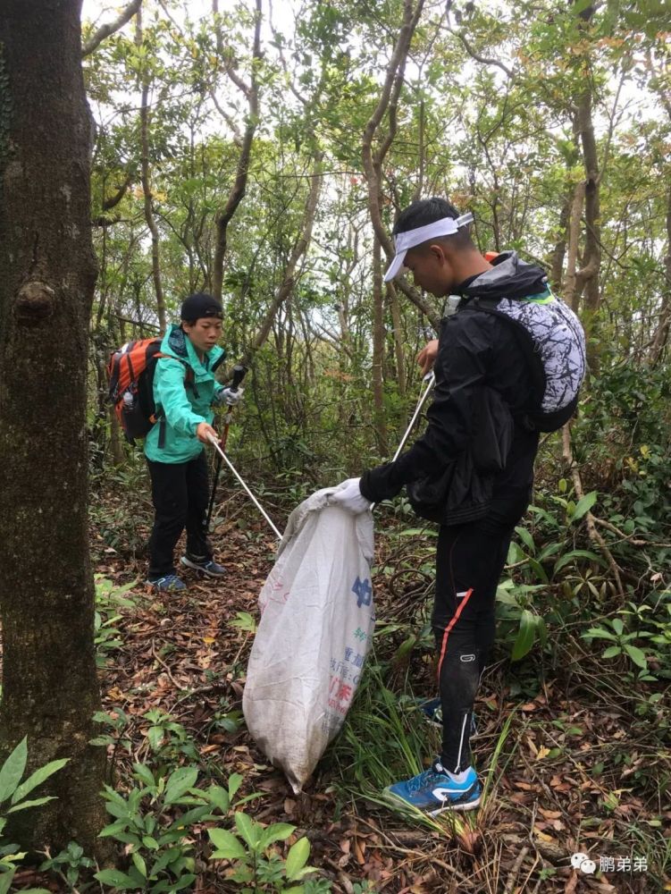 山野猎人短剧，荒野的呼唤与生存的艺术