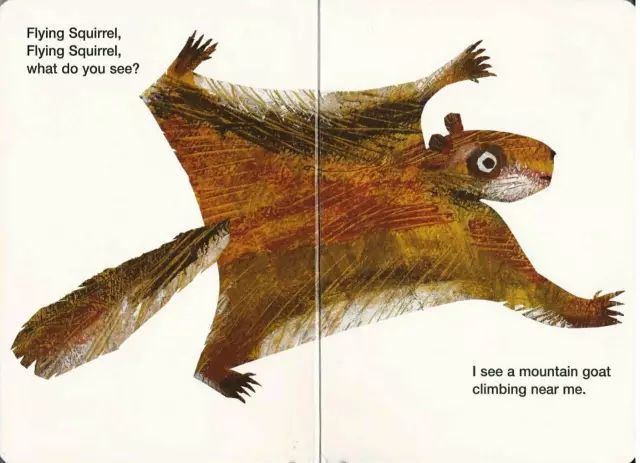 flying squirrel  fla    skw :r l] 飞鼠,鼯鼠