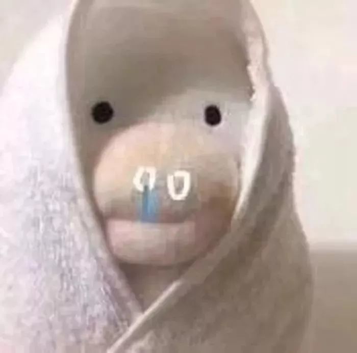 沙雕网友必备头像