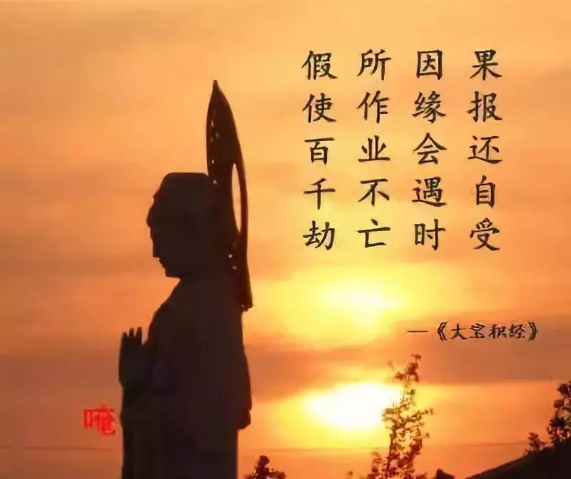 四川"猪杀人"事件!这就是前世真相,因果轮回