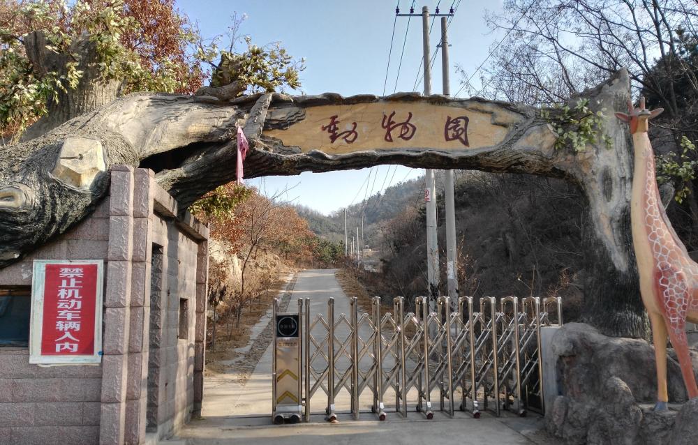 济南野生动物园门票太贵,它附近山里的免费动物园却鲜