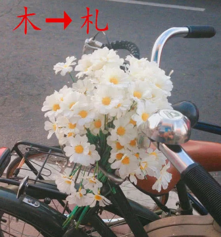 "木"字加一笔,你最先想到什么字?测你内心隐藏属性,我是老实
