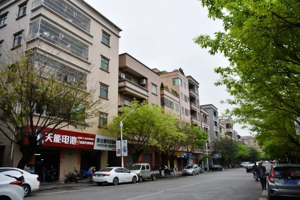 阿伟,水塘,古坑,村民,厚街,新塘
