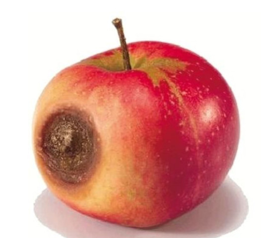 640