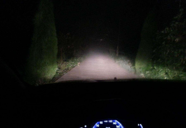 要知道夜晚开车比不白天,视线好 路况都能一目了然,夜晚受光线影响