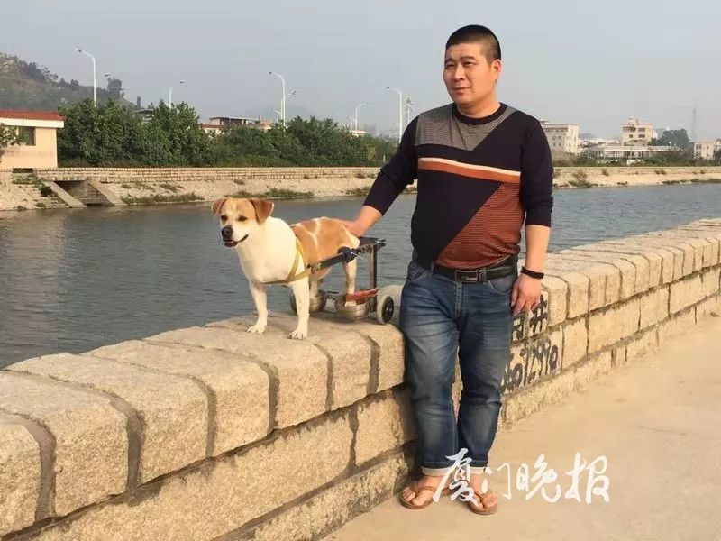 厦门有只瘸腿小狗 每天开 宝马 飞奔 背后故事超暖心 看点快报