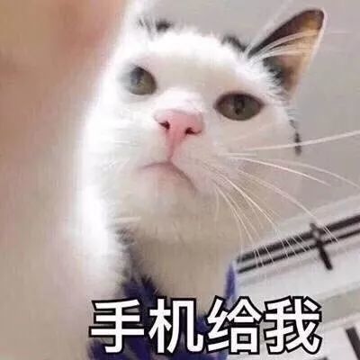 640
