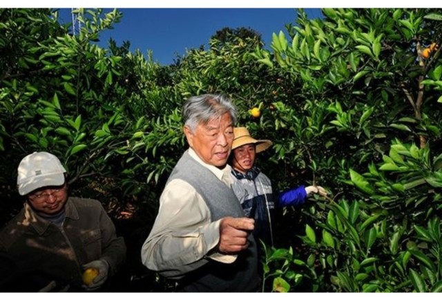 烟草大王到橙王的褚时健,他种出来的橙子为什么叫"励志橙"?