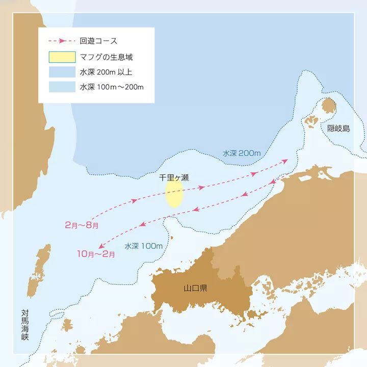 山口县人口_日本山口县地图(2)