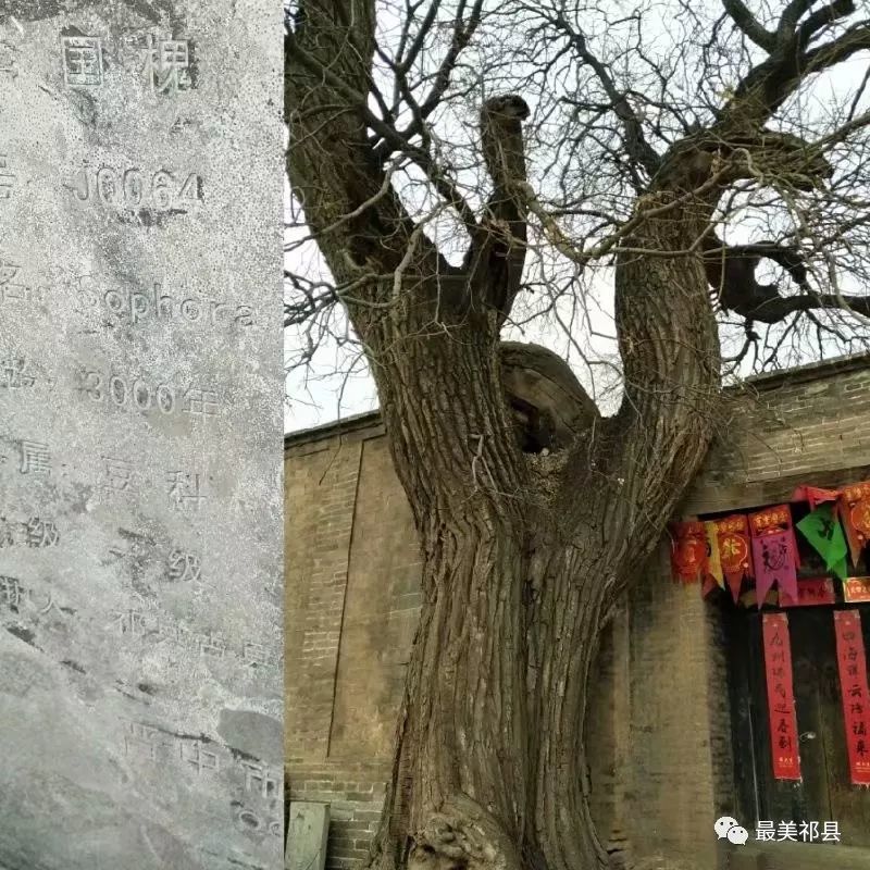 祁县有多少人口_祁县守艺人用嘴 吹 出 透明世界(2)