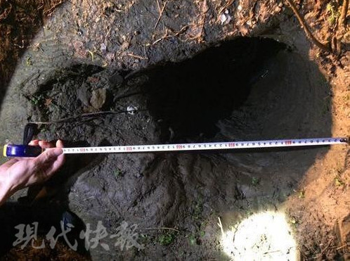 常熟哪里外来人口多_常熟理工学院(3)