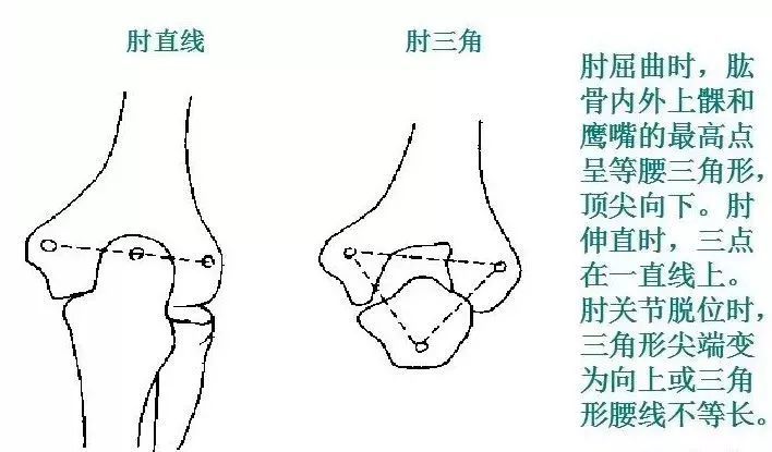 5.肘三角与肘直线4.肘关节外部形状检查3.