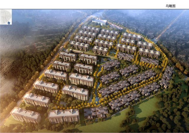 致敬北碚|感谢缙云山屹立7000万年,奉献巴山