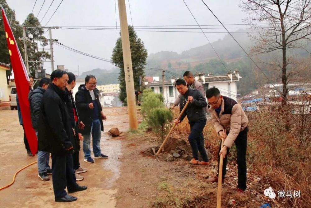 马树人口多少_夏朝有多少人口