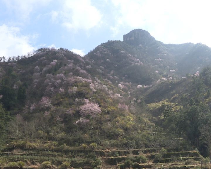 东川区有多少人口_昆明市东川区图片(2)