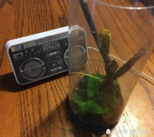 640