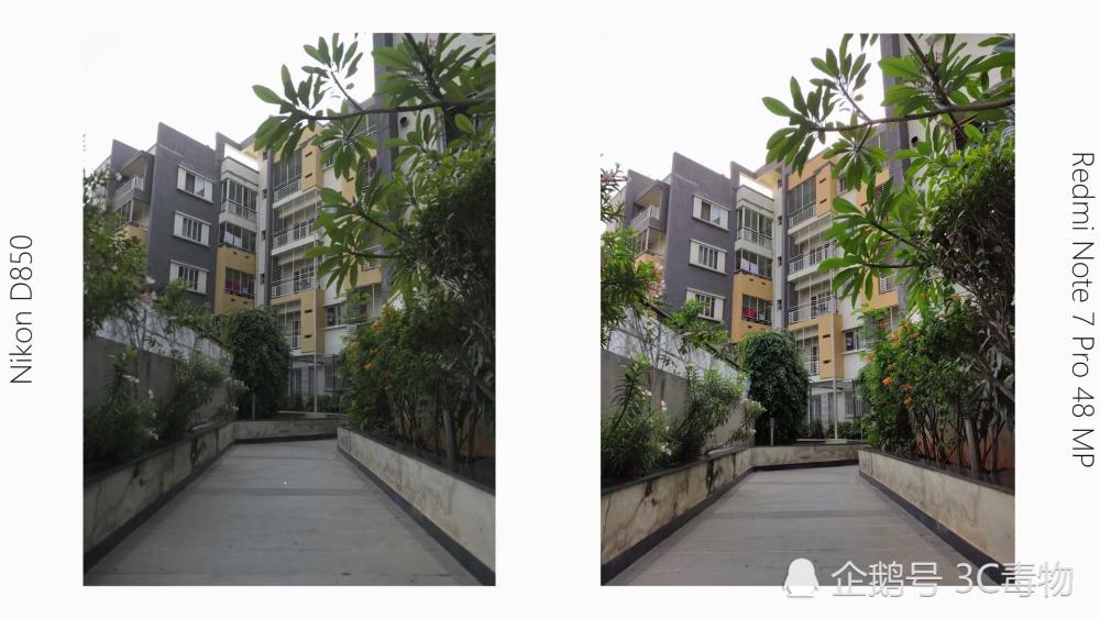 红米Note7和尼康D850拍照对比:价格差2万4性