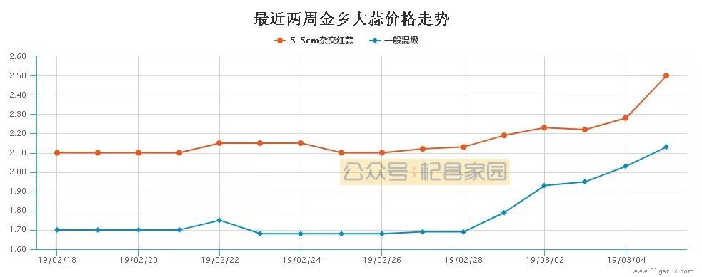 金乡大蒜价格行情 腾讯网
