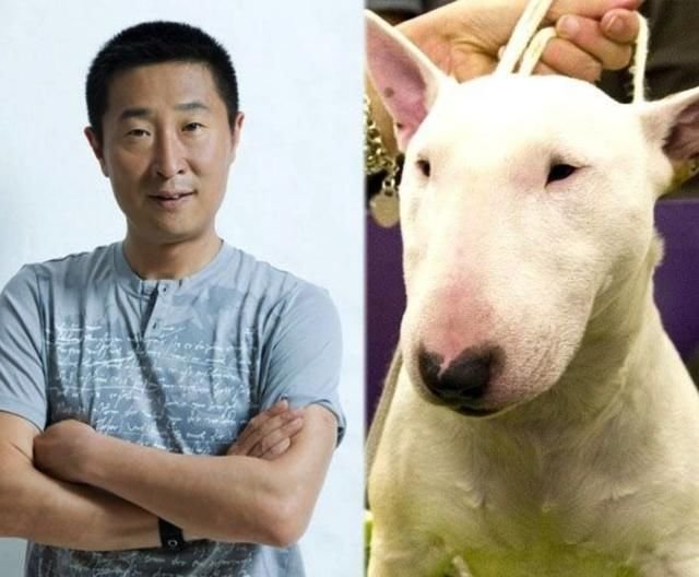 孙红雷,牛头梗,林永健
