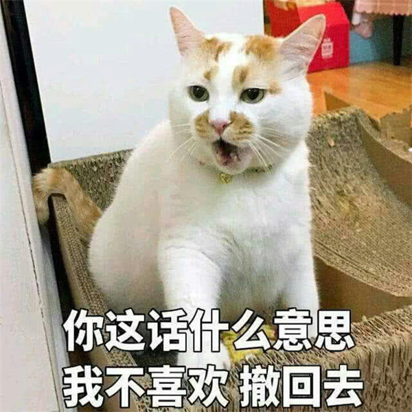 表情包:女孩子一定是这个世界上最可爱的生物,当然其中不包括你