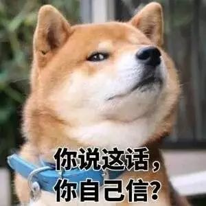 柴犬表情包:大家听我说,你们都是狗!