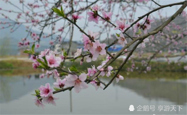 成语什么花流水_高山流水成语图片(2)