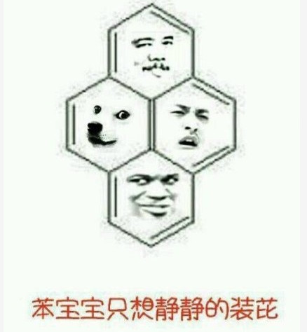 啥都不要说了,苯宝宝只想静静的看着你们装比.