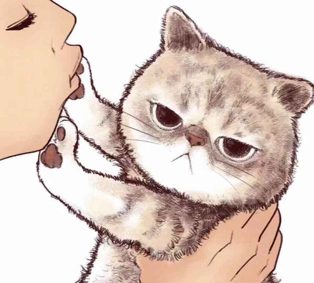 看我们猫儿这眼神,就是生无可恋的拒绝啊,赶紧离开,不要亲我!