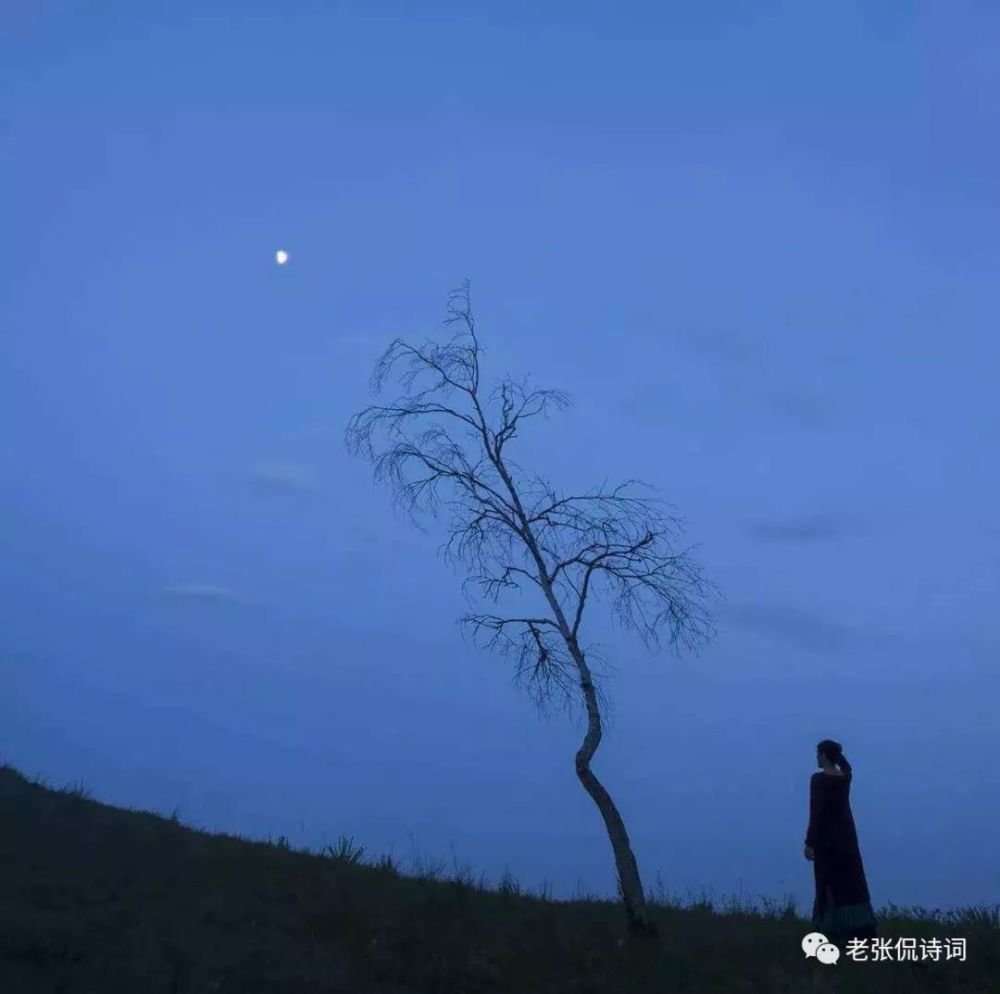 写春天的诗歌很多,但这一首28字唐诗很特别,入