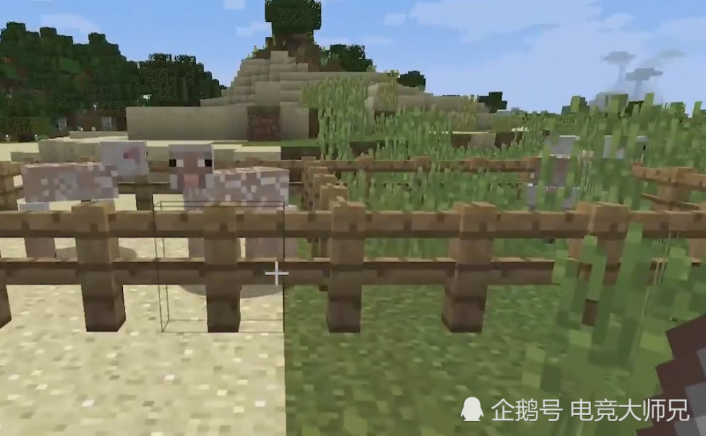 腾讯网