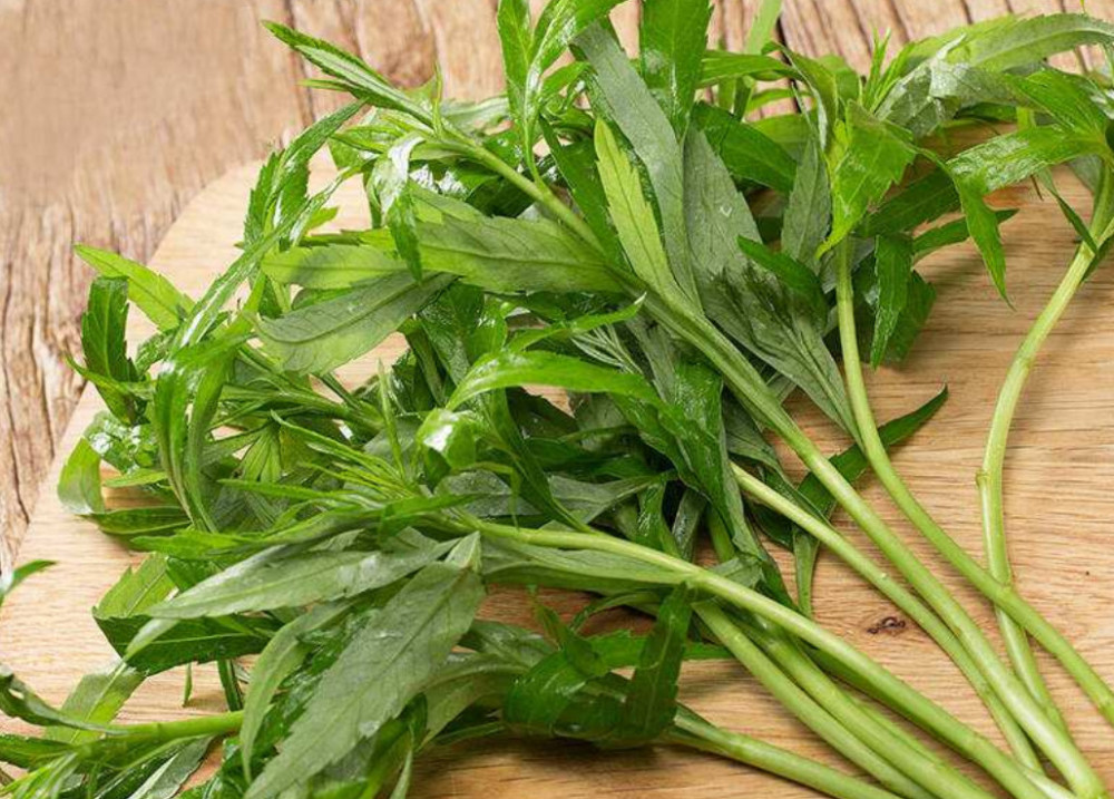 这种野菜卖的比肉还贵,农村人民真幸福,天天都