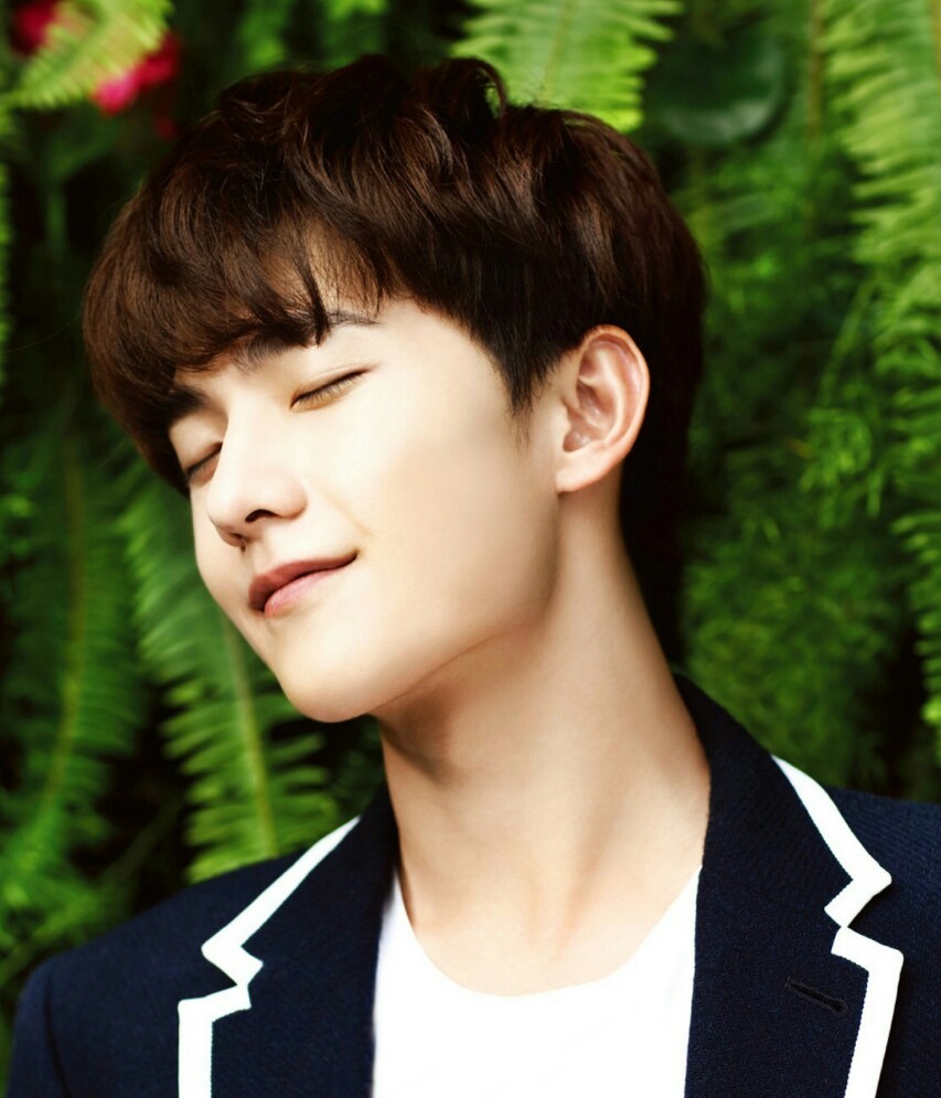 杨洋与出品方和解,这场闹剧终于告一段落了