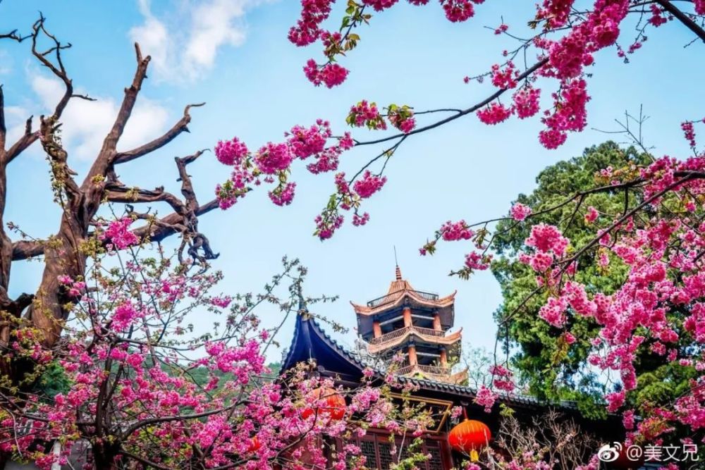 德阳城里人口_2020德阳人口分布图(3)