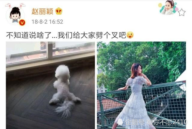 赵丽颖产子前4天的一条动态,解释了她为何在孕期劈叉证未怀孕