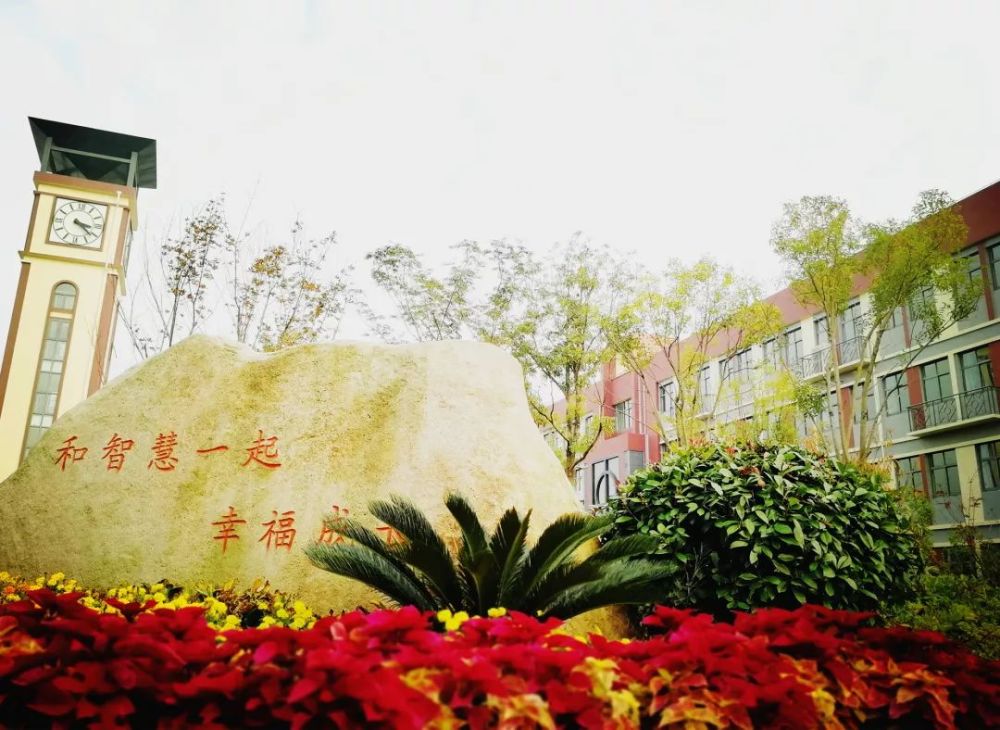 2019浦东新区小学校园年纪v小学入学及明珠开小学1临港苏教版语文图片