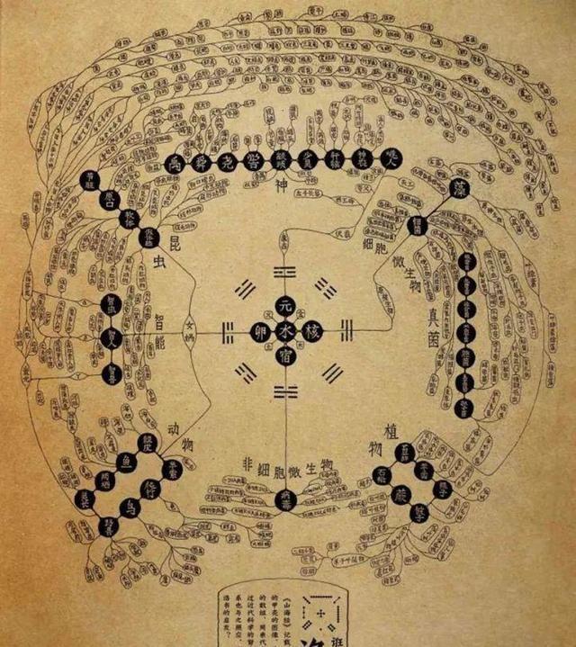 神秘的"无字天书",内藏着什么秘密,得到人究竟研究出