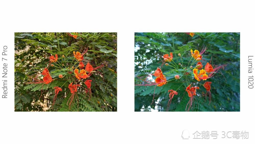 同为4千万镜头 红米Note7和诺基亚1020拍照差