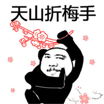 表情包:少年,我看你骨骼惊奇,学"贱"法吗?