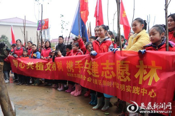 娄底近200名志愿者义务植树 共赴春天之约