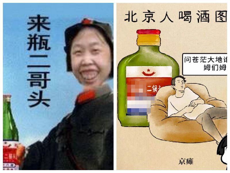 苏州人vs北京人,南北喝酒文化大pk,宁夏人:这锅我不背!