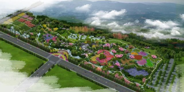 真美!济源新添一座千亩牡丹园!预计4月20日开放