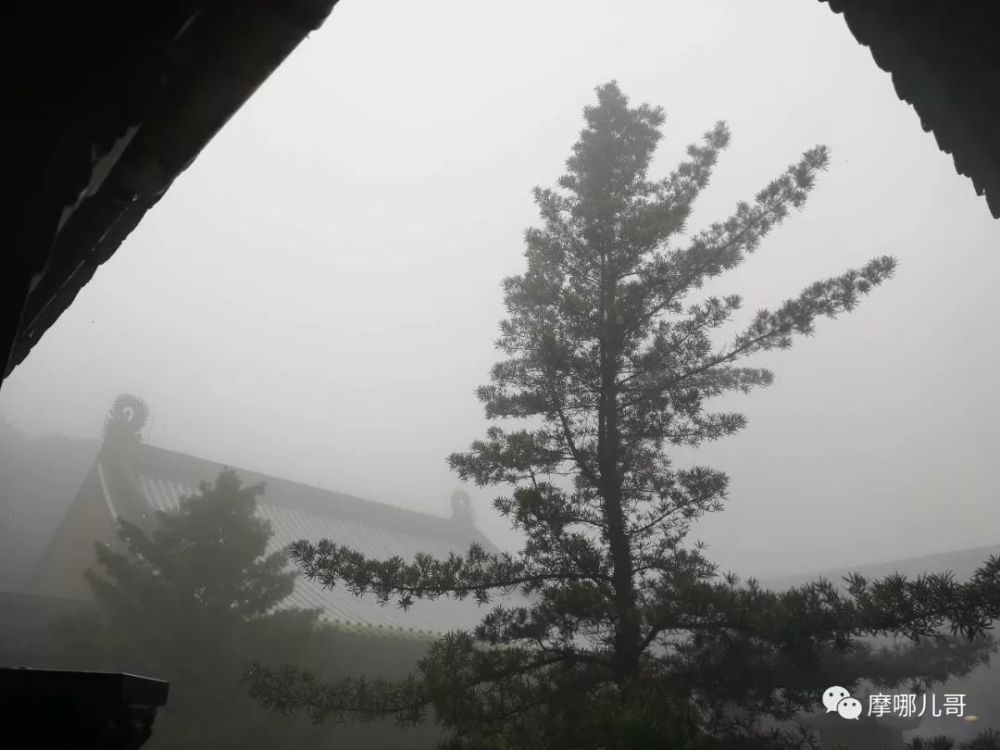 成语什么物什么知_成语故事图片(3)