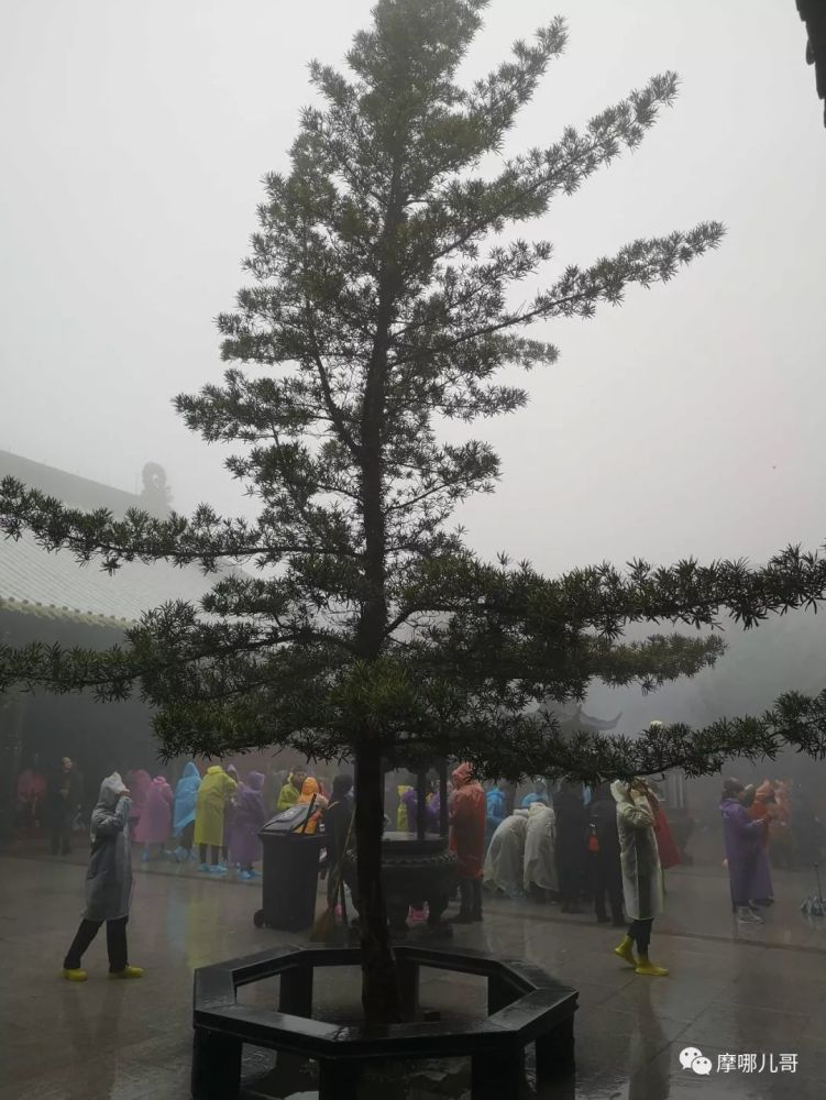 成语什么物什么知_成语故事图片(3)