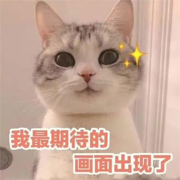 我想你了,也许她只是看一眼,没有感动的感觉,如果用表情包就不一样了