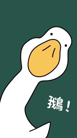最近火的一批的"后悔药"壁纸,使用时请配合捶胸顿足!