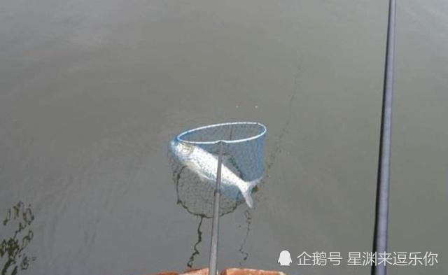 浮什么李成语_浮置板整体道床是什么(2)