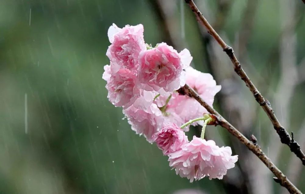 解释雨字:天街小雨润如酥