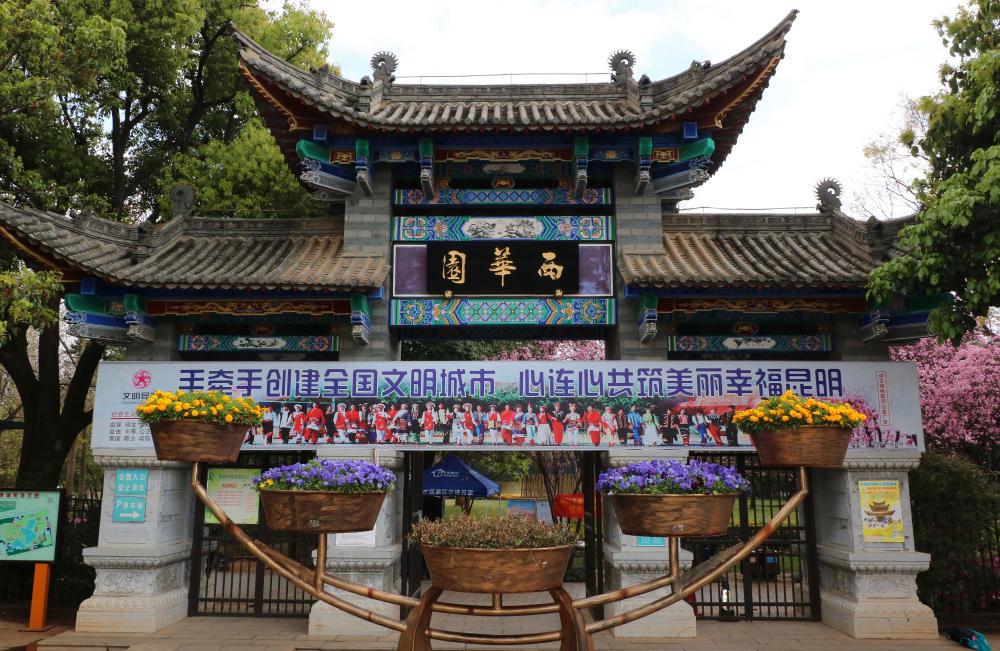 昆明:西华园垂丝海棠盛开,落英缤纷赏花正当时