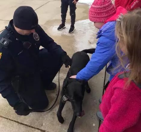 7岁小女孩患重病危在旦夕 暖心警察叔叔带40只警犬为他送惊喜 看点快报